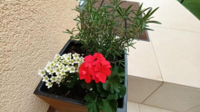 Apartman Sandra -private parking and garden